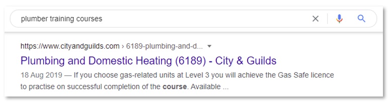 August 2021 SEO Insights Blog Image 4 - Plumbing and Domestic Heating SERPS image