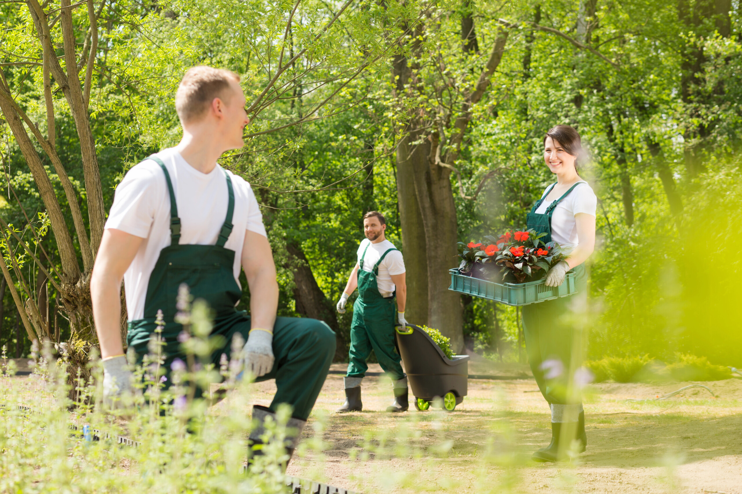 Garden designers