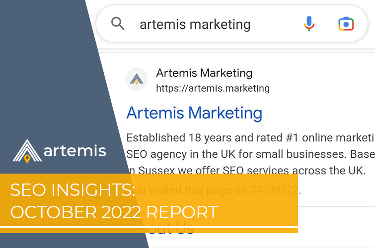 SEO Insights October 2022 Report image