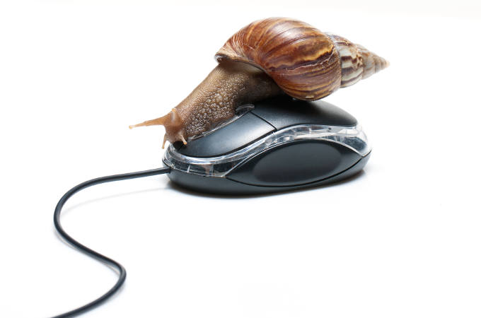 Snail on a Mouse